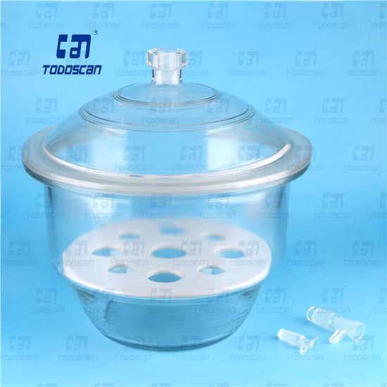 실험실 유리 제품 실험실 투명 건조기(도자기 플레이트 포함)